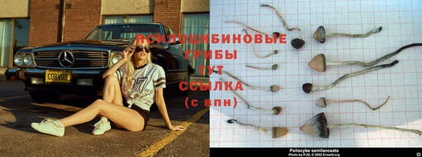 тгк Вязники