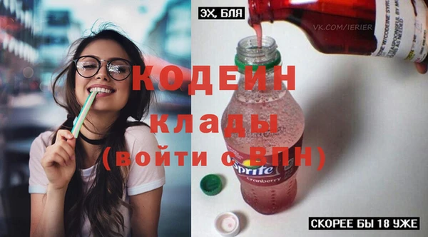 mdpv Вяземский
